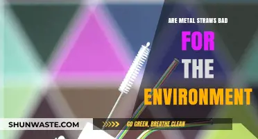 Metal Straws: Eco-Friendly Solution or Hidden Environmental Hazard?