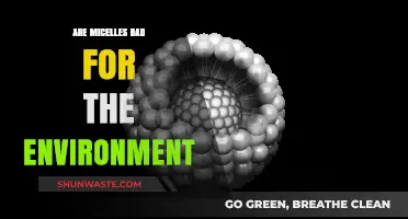 Micelles and the Environment: Uncovering Their Ecological Impact and Concerns