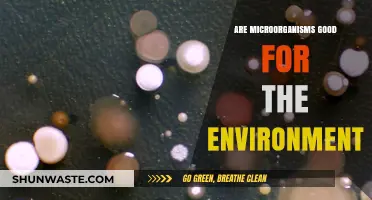 Microorganisms' Environmental Impact: Unveiling Their Crucial Role in Ecosystems