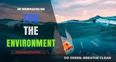 Microplastics' Environmental Impact: Uncovering the Hidden Dangers in Ecosystems