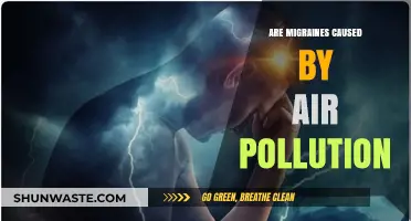 Unveiling the Link: Air Pollution and Migraines