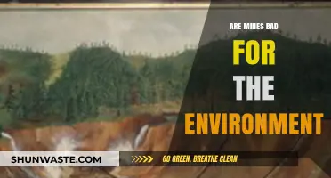Environmental Impact of Mining: Uncovering the Hidden Costs of Resource Extraction
