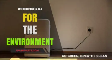 Mini Fridges: Eco-Friendly or Environmental Hazard?