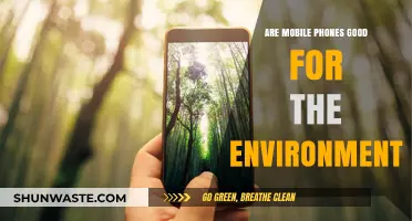 Mobile Phones and the Environment: Sustainable or Harmful Impact?