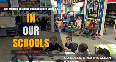 Modern Learning Environments: Effective or Failing Our Schools?