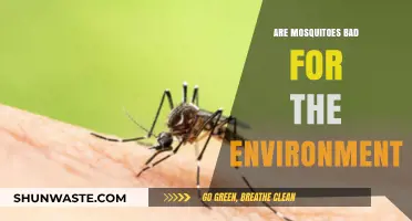 Mosquitoes' Environmental Impact: Are They Harmful or Beneficial?