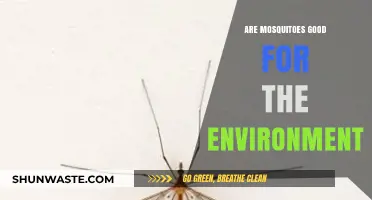 Mosquitoes' Ecological Role: Are They Beneficial or Just a Nuisance?