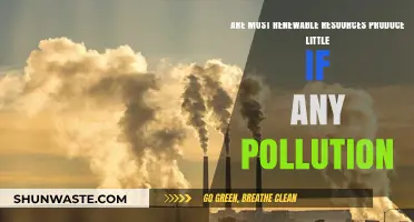 Renewable Resources: Clean Energy, Minimal Pollution
