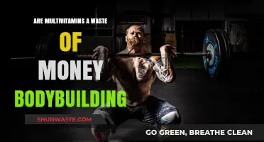 Multivitamins for Bodybuilding: Worth the Investment or Waste of Money?