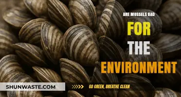 Mussels and the Environment: Sustainable Seafood or Ecological Threat?