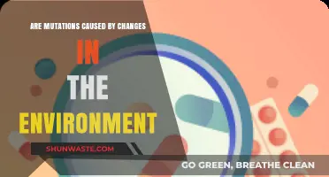 Environmental Factors and Their Role in Triggering Genetic Mutations