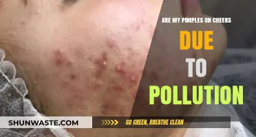 Pollution and Pimples: Is There a Link?