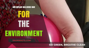 Mylar Balloons: Environmental Impact and Sustainable Alternatives Explored