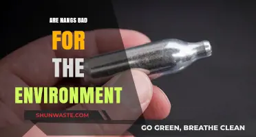 Nangs and Nature: Environmental Impact of Nitrous Oxide Canisters
