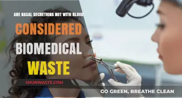 Nasal Secretions Without Blood: Biomedical Waste Classification Explained