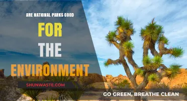 National Parks: Environmental Guardians or Ecological Challenges?