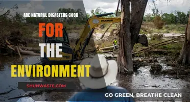 Natural Disasters: Environmental Reset or Ecological Catastrophe?