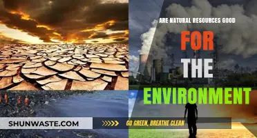 Natural Resources: Environmental Allies or Hidden Ecological Challenges?
