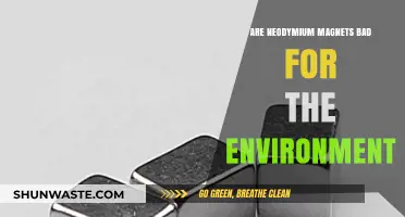 Neodymium Magnets: Environmental Impact and Sustainable Alternatives Explored