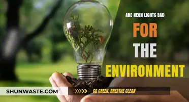 Are Neon Lights Eco-Friendly? Environmental Impact Explained