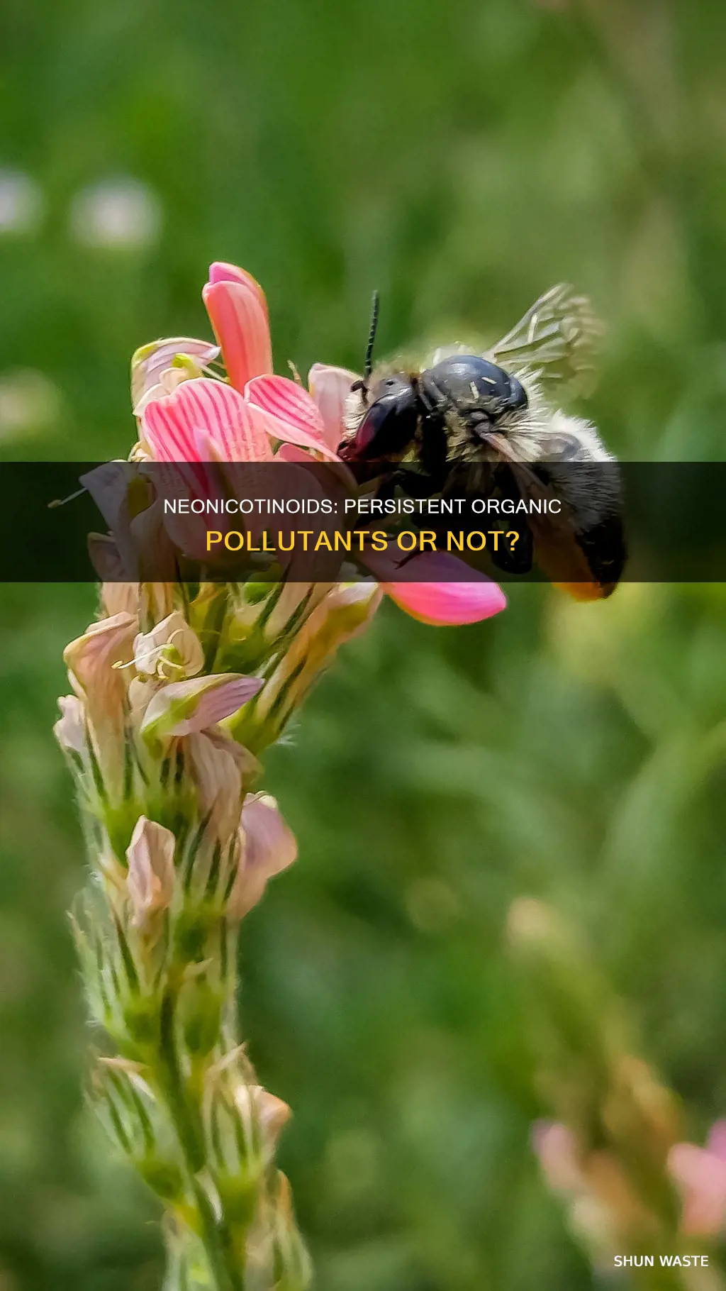 are neonicotinoids considered persistent organic pollutants