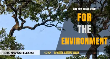 New Trees: Environmental Benefits, Carbon Impact, and Ecosystem Health Explained