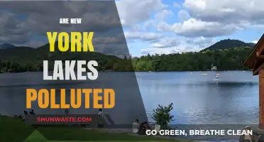 The Pollution Crisis in New York Lakes