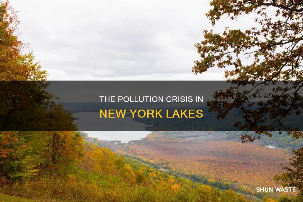 are new york lakes polluted