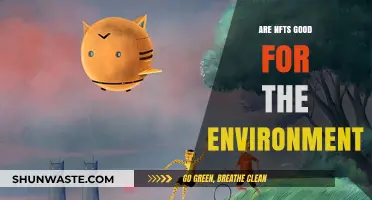 NFTs and the Environment: Sustainable or Harmful for Our Planet?