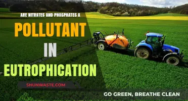 Nitrates and Phosphates: Pollutants in Eutrophication?