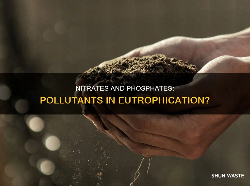 are nitrates and phosphates a pollutant in eutrophication
