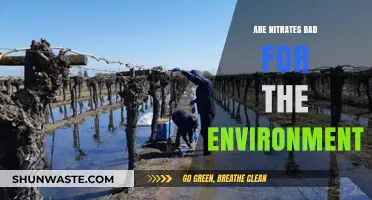 Nitrates' Environmental Impact: Uncovering Their Hidden Ecological Consequences