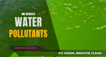 Nitrates in Water: Understanding the Impact and Solutions