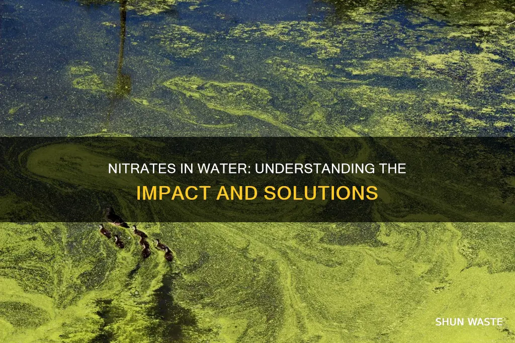 are nitrates water pollutants