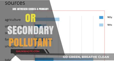 Nitrogen Oxides: Primary or Secondary Pollutant?