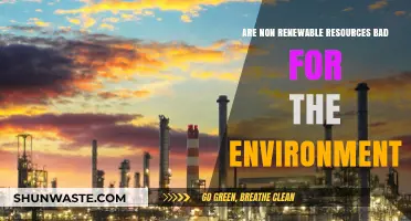 Non-Renewable Resources: Environmental Impact and Sustainable Alternatives Explored