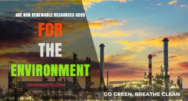 Non-Renewable Resources: Environmental Impact and Sustainable Alternatives Explored
