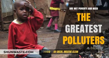 Poverty and Pollution: The Cycle of Environmental Injustice