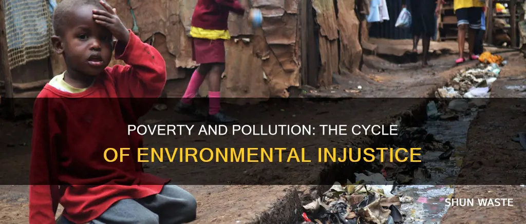 are not poverty and need the greatest polluters