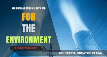 Nuclear Power Plants: Environmental Savior or Ecological Hazard?