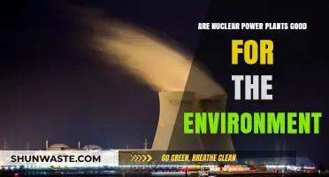 Nuclear Power Plants: Environmental Savior or Hidden Eco-Threat?
