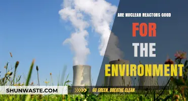 Nuclear Reactors: Environmental Savior or Hidden Ecological Threat?