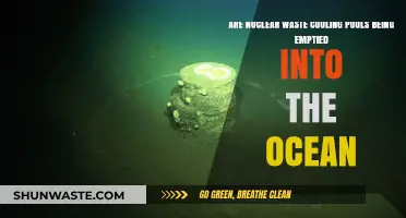 Ocean Dumping: Are Nuclear Waste Cooling Pools Being Emptied?
