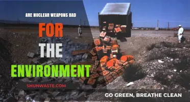 Nuclear Weapons' Environmental Impact: A Threat to Our Planet's Future