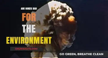 Nuclear Weapons' Environmental Impact: Devastation, Radiation, and Long-Term Consequences