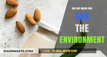 Nut Milks' Environmental Impact: Sustainable Choice or Eco-Friendly Myth?