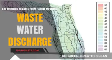 Florida's Wastewater Discharge: Nutrient Removal and Environmental Impact