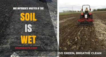 Wet Soil and Nutrient Loss: Are Your Fertilizers Going to Waste?