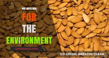 Nuts and the Environment: Uncovering the Ecological Impact of Nut Production