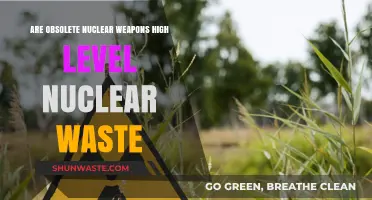Obsolete Nuclear Weapons: High-Level Waste or Hidden Hazard?